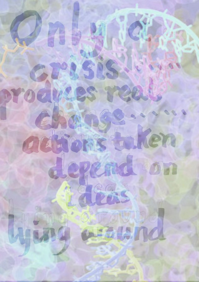 refecting on the opportunity afforded by lockdown 2020